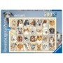 Puzzle Portrete De Caini, 500 Piese Ravensburger - 2